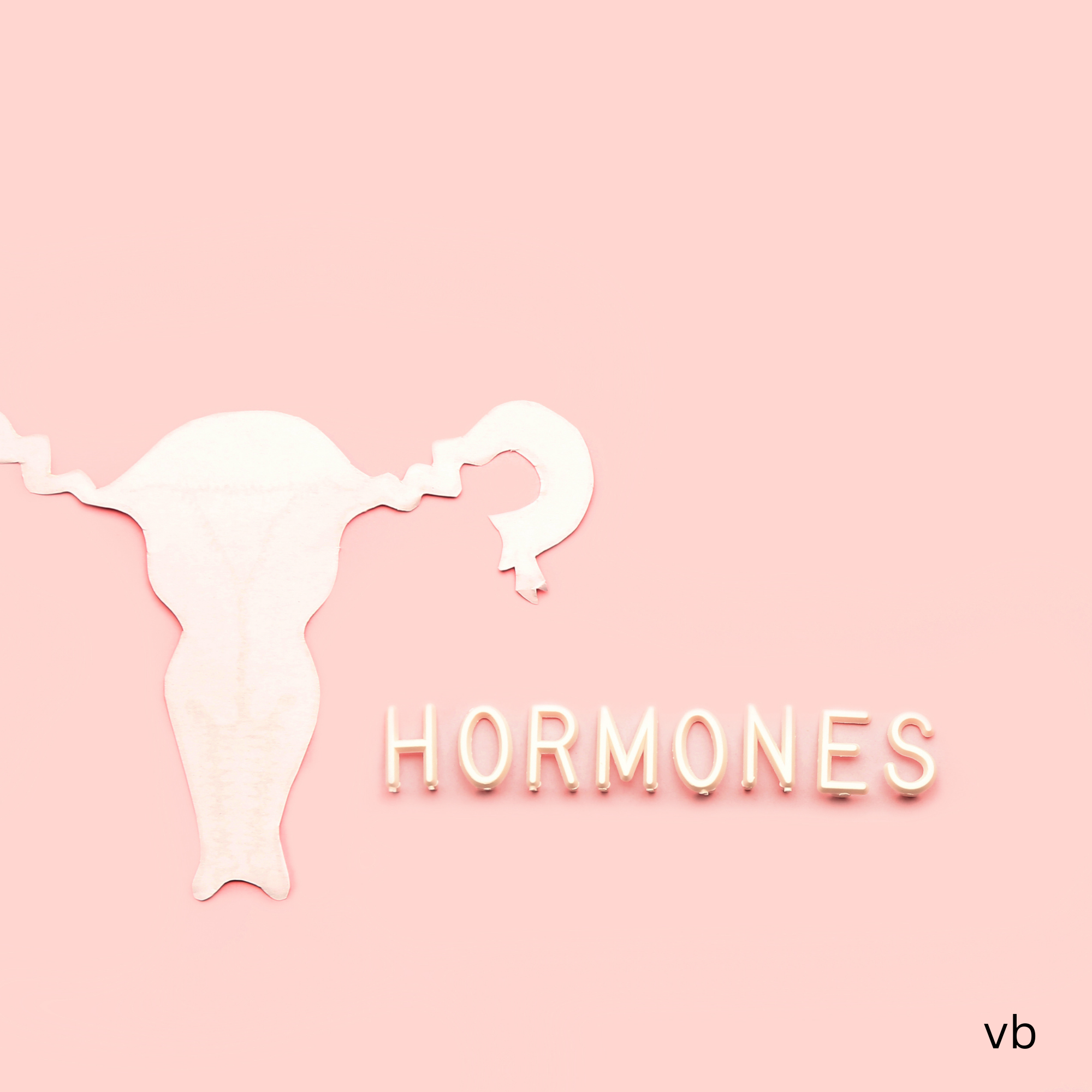 Menopause Insight Navigating Hormonal and Vaginal Changes