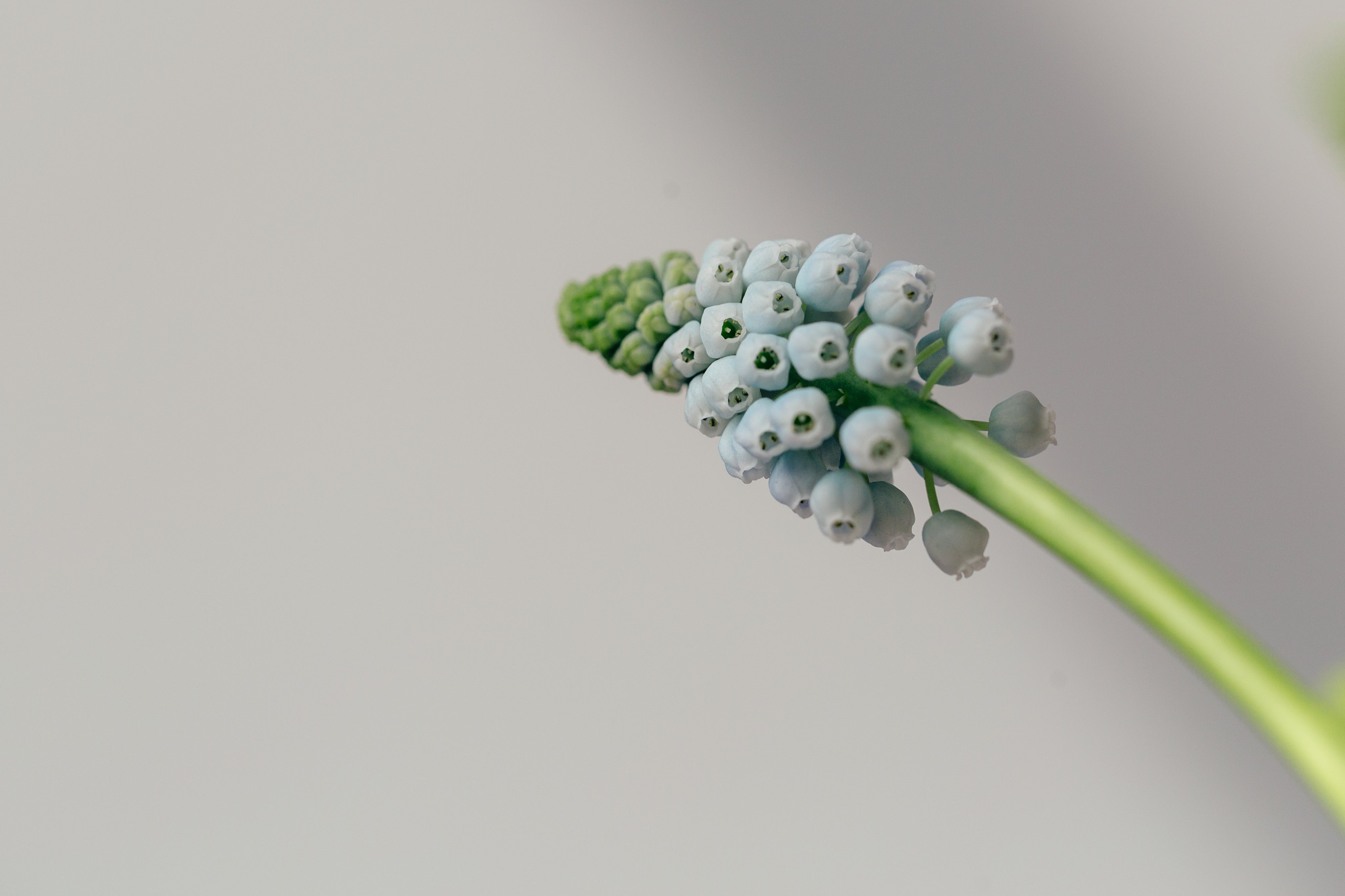 Hormones and Menopause Discover the Effects on Vaginal Itching