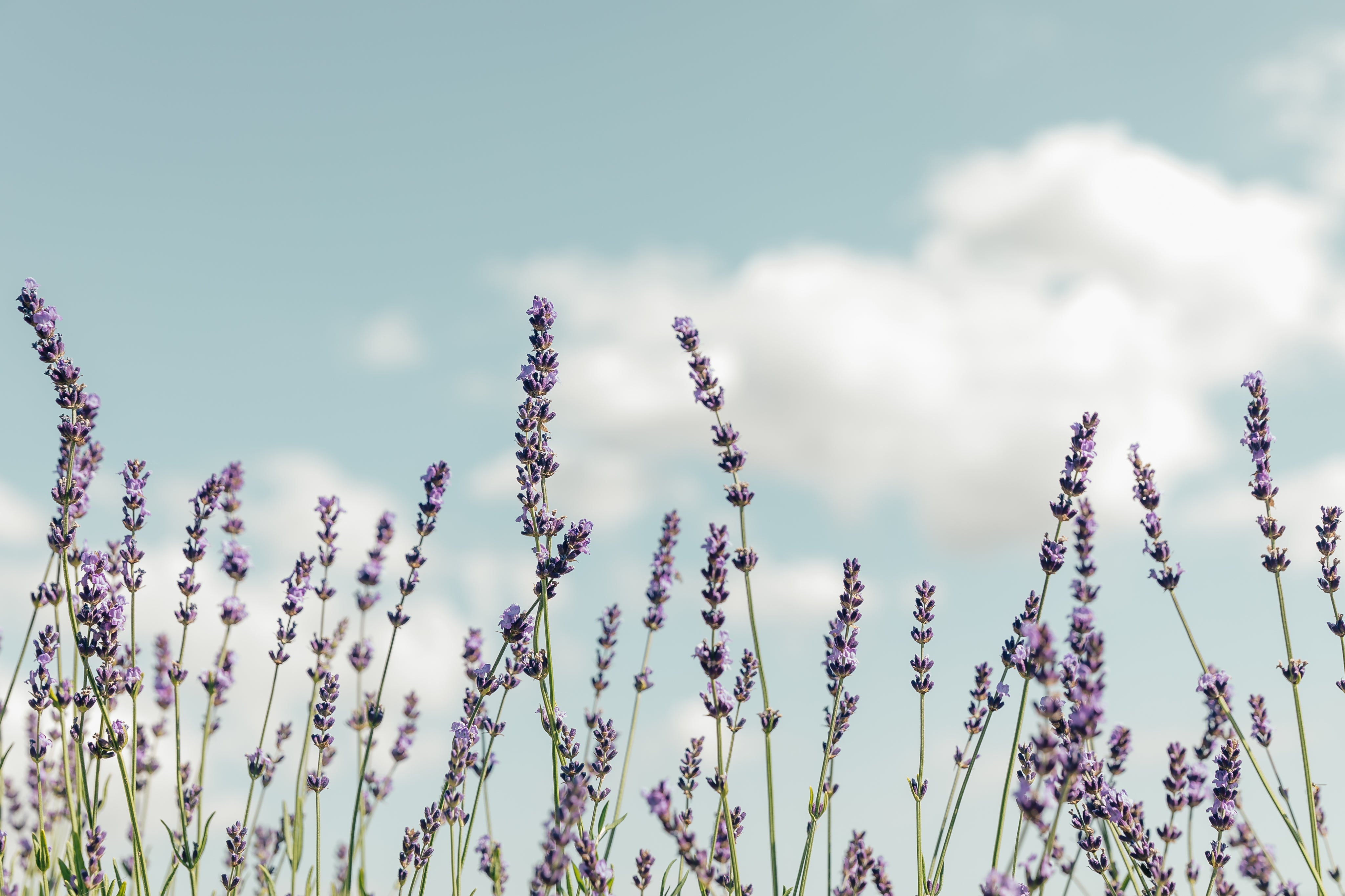 Natural Remedies for Yeast Infections That Actually Work